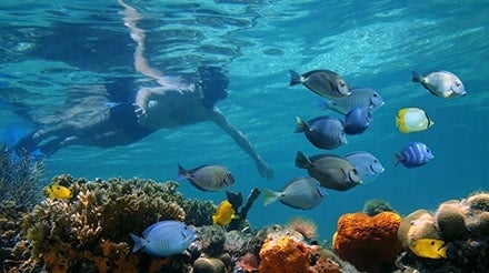 Natural Wonders - MSC Ocean Cay